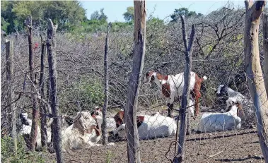  ?? ?? SMALL-SCALE: Farmers want to reap the benefits