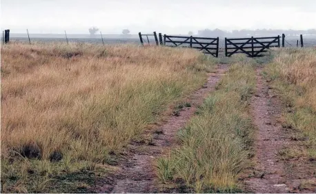  ?? AGENCIA PUNTA ALTA ?? Roberto Molini
habló sobre la situación actual del sector rural y dijo que cada vez son más las desercione­s.