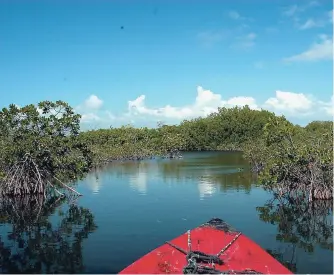  ?? FILE ?? Portland Bight, in southern Jamaica, was designated a Wetland of Internatio­nal Importance in 2006.