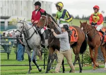  ?? PHOTO: TRISH DUNELL ?? Handler Troy Harris congratula­tes Ugo Foscolo after Michael Coleman had ridden the gelding to win the Sarten Memorial at Te Rapa yesterday.