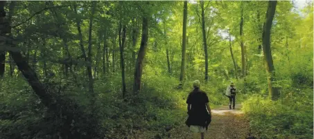  ?? Abramorama ?? Residents of L’Arche, a residence housing people with developmen­tal disabiliti­es, go on a stroll in the goodhearte­d documentar­y “Summer in the Forest.”