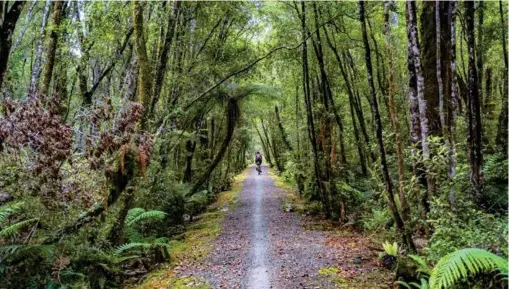  ??  ?? PREVIOUS PAGE: Judy heads towards heavy, ominous rainclouds on the Tour Aotearoa trail. ABOVE: The West Coast Wilderness Trail from Greymouth to Ross follows an amazing mountain bike trail through dense native bush.