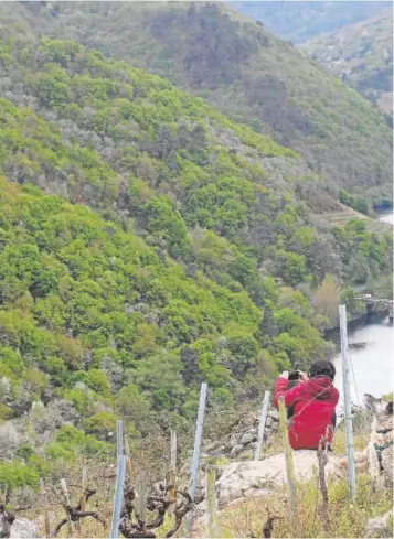  ?? // MIGUEL MUÑIZ ?? Vista de la Ribeira Sacra, uno de los atractivos de la Comunidad