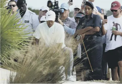  ??  ?? 0 Tiger Woods gets down on one knee to play a shot from under a bush during the Hero World Challenge last week