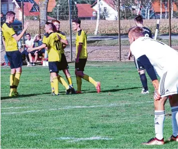  ?? Foto: Benjamin Sigmund ?? Jubel und Enttäuschu­ng liegen eng beisammen: Während die Spieler der TSG Untermaxfe­ld ihr Tor zum 3:1 feiern, ist Echsheims Torhüter Peter Bauer (rechts) der Ärger anzusehen.