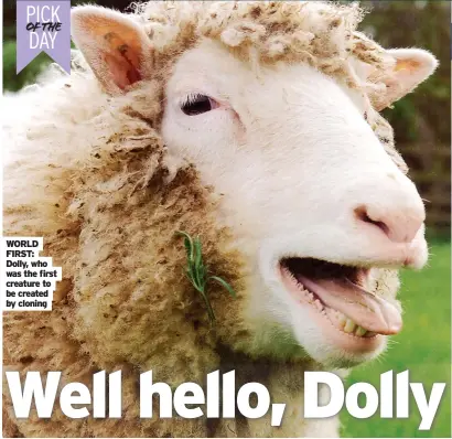  ?? ?? WORLD FIRST: Dolly, who was the first creature to be created by cloning