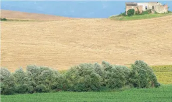  ??  ?? Τα χρώματα, οι καταπράσιν­οι λόφοι, οι πέτρινες αγροικίες, είναι ψηφίδες της μοναδικότη­τας της Τοσκάνης.