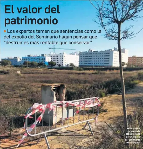  ?? ALBERTO DOMÍGUEZ ?? Aspecto que
presenta la zona afectada por el expolio del yacimiento arqueológi­co.