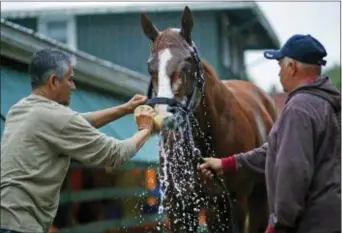  ?? PATRICK SEMANSKY — THE ASSOCIATED PRESS ?? Kentucky Derby winner in Baltimore. Justify is washed outside a barn on Friday at Pimlico Race Course