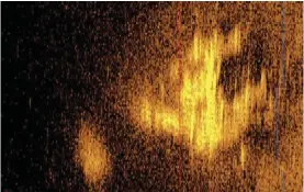  ?? ?? Sonar image from Deep Sea Vision shows a a plane shaped object