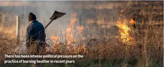  ?? ?? There has been intense political pressure on the practice of burning heather in recent years
What do you wear on a shoot day?
48% Wellies
25% Just boots