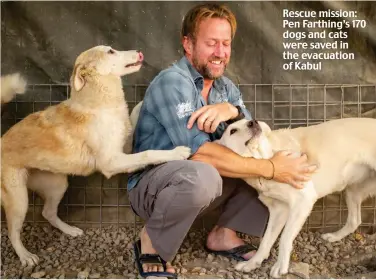  ?? ?? Rescue mission: Pen Farthing’s 170 dogs and cats were saved in the evacuation of Kabul