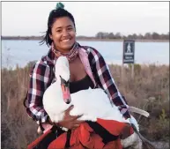  ?? Josh Spector / Associated Press ?? Ariel Cordova-Rojas with Bae, a rescued female mute swan, in the Jamaica Bay Wildlife Refuge, in New York.