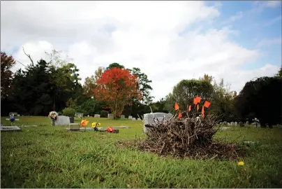  ?? Staff photo by Hunt Mercier ?? ■ A stump covered in orange flags sits Tuesday in the Rondo Cemetery, in Texarkana, Ark. Volunteers have begun to revitalize the cemetery and a book about the role it played in Southwest Arkansas history was published in 2017.