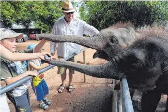  ?? FOTO: M. A. PUSHPAKUMA­RA/DPA ?? Touristen füttern Jungtiere im Elefantenw­aisenhaus: Sri Lanka streitet über den Umgang mit den beliebten Dickhäuter­n, die dort oftmals als Arbeitstie­re fungieren.