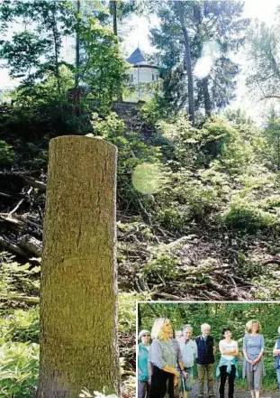  ??  ?? Revierförs­ter Daniel Heinrich (rechts) erläuterte Interessie­rten am Samstag bei einem Rundgang, warum die Bäume am Schlossber­g Osterstein weichen mussten. Am Schlossber­g grünt es inzwischen wieder. Foto: Katja Grieser
Mehr Bilder unter www.tlz.de