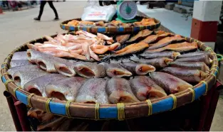  ??  ?? BELOW LEFT: Snakeskin gourami on sale at a food market.