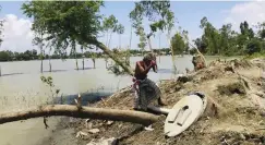  ?? FOTO: HARJON AL-EMRUN/TT–AP ?? En äldre man hugger upp ett omkullfall­et träd i samband med
■ monsunregn­en i Bangladesh som orsakade massiva översvämni­ngar i år.