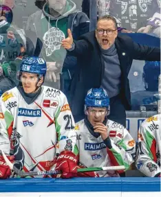  ?? Foto: Andreas Gora, dpa ?? Die Augsburger Panther bauen um: Christof Kreutzer steht in der neuen Saison nicht mehr als Trainer hinter der Bande.