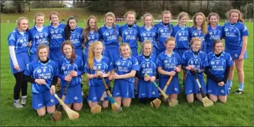  ??  ?? The Our Lady of Lourdes (Rosbercon) squad before Saturday’s Leinster final.