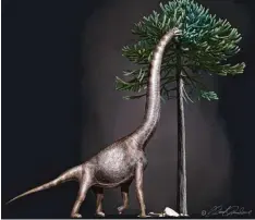  ?? Foto: Davide Bonadonna, dpa ?? Diese künstleris­che Darstellun­g zeigt einen Brachiosau­rus oder einen nahen Ver wandten. So könnte auch „Bigfoot“ausgesehen haben.