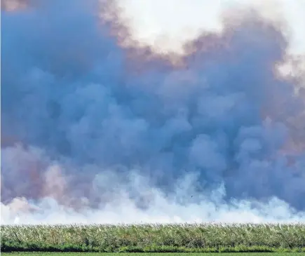  ?? GREG LOVETT/THE PALM BEACH POST ?? A sugar cane field burns outside of Pahokee.