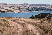  ?? Loren Elliott/Special to the Chronicle ?? Six adults and one child were found clinging to a capsized boat Saturday on Tomales Bay. Three were taken to a hospital with minor injuries.