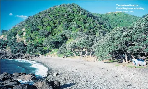  ?? Photo / DoC ?? The sheltered beach at Fantail Bay forms an inviting curve.