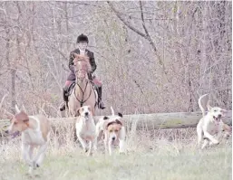  ?? BY MICHELLE O'HANLON ARNOLD ?? In a recent ODH youth meet, Junior Huntsman Connor Poe waits for hounds to clear before taking the jump.