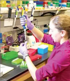  ??  ?? Lee Organick, a UW computer science and engineerin­g research scientist, mixes DNA samples for storage. Each tube contains a digital file, which might be a picture of a cat or a Tchaikovsk­y symphony. — Photo by Tara Brown/ University of Washington