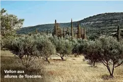  ??  ?? Vallon aux allures de Toscane.