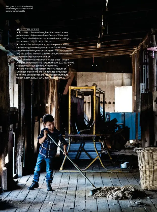  ??  ?? Jack gives a hand in the shearing shed, mostly unused now that the farm runs mainly cattle.