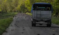  ?? ?? Crabs try to cross a road near Giron. Their travels are a nuisance to Cubans but a wonder for tourists.