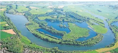  ?? FOTO: RVR ?? Die Auenlandsc­haften der Bislicher Insel stehen großflächi­g unter Naturschut­z.