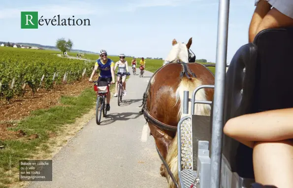  ??  ?? Balade en calèche ou à vélo sur les routes bourguigno­nnes.