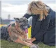  ?? FOTO: DPA ?? First Lady Jill Biden mit Schäferhun­d Champ.