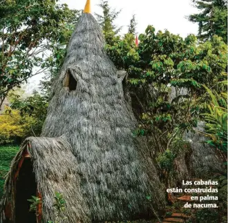  ??  ?? Las cabañas están construida­s
en palma de nacuma.