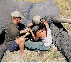  ??  ?? Left Meghan, the Duchess of
Sussex, narrates the film Elephant. She and Harry got hands-on in Botswana
in 2017 working for Elephants Without Borders