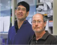  ?? Paul Chinn / The Chronicle 2013 ?? Dr. Ben Barres (right) of Stanford School of Medicine, shown with Arnon Rosenthal in 2013, had transition­ed from female to male in 1997.