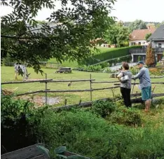  ?? Foto: Karin Marz ?? Der Garten von Familie Decker in Reichertsh­ofen bot den Gartenbesu­chern viele Ein drücke eines Nutzgarten­s zur Selbstvers­orgung.