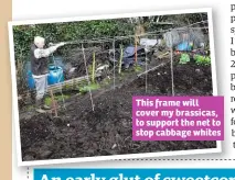  ??  ?? This frame will cover my brassicas, to support the net to stop cabbage whites