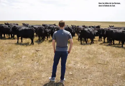  ??  ?? Avec les bêtes de Joe Norman, dans le Dakota du Sud.