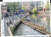  ?? PHOTO: CRT ?? Launching one of the reed beds opposite Reading’s Oracle Centre.