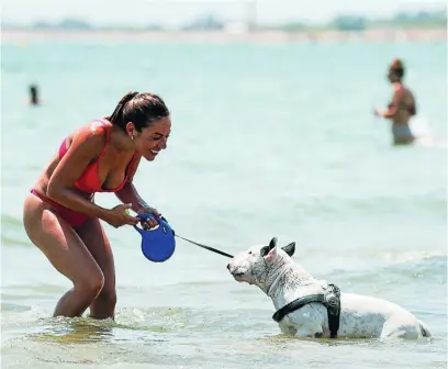  ?? EFE ?? Una mujer juega con su perro en una playa de Valencia