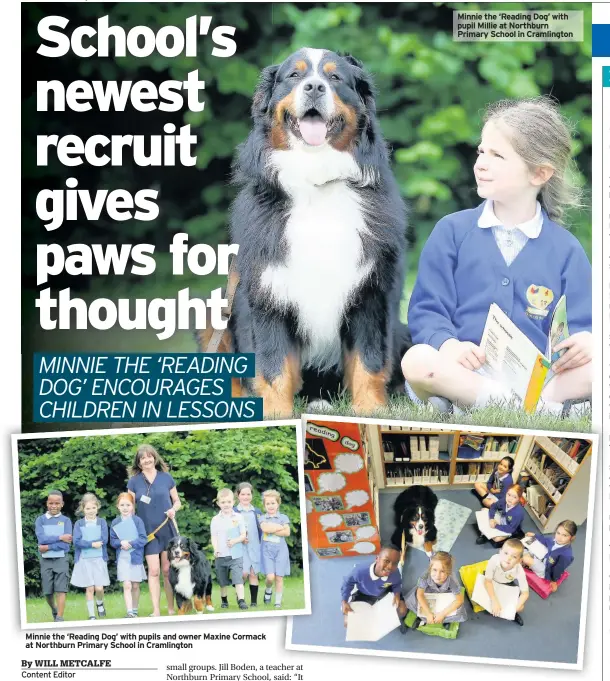  ??  ?? Minnie the ‘Reading Dog’ with pupils and owner Maxine Cormack at Northburn Primary School in Cramlingto­n Minnie the ‘Reading Dog’ with pupil Millie at Northburn Primary School in Cramlingto­n