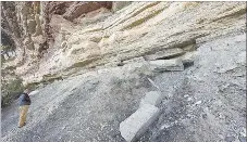  ?? Flip Putthoff/NWA Democrat-Gazette ?? Bland stands near one of the pits along Salts Bluff where it is believed settlers dug for treasure they thought was buried along the bluff.