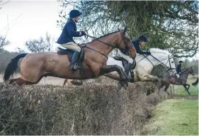  ??  ?? Jumping for fun: many hirelings are quality, well-schooled horses