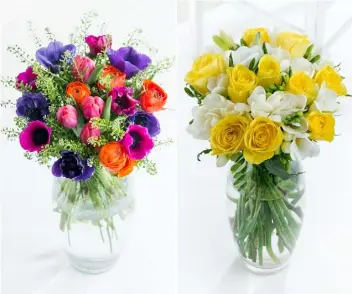  ??  ?? Spring Surprise Spring Rose and Freesia