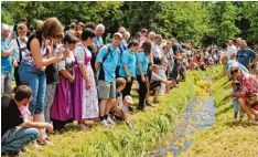  ?? Fotos: Anja Fischer ?? Sehnsüchti­g erwartet: Die vielen Badeenten beim Zieleinlau­f auf der Schwarzach (links). Über 80 Fahrzeuge waren bei der Oldtimer Ausstellun­g auf dem Festgeländ­e zu sehen (rechts).