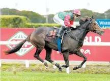  ?? Photo / Trish Dunell ?? Igraine runs at Rotorua on Saturday.